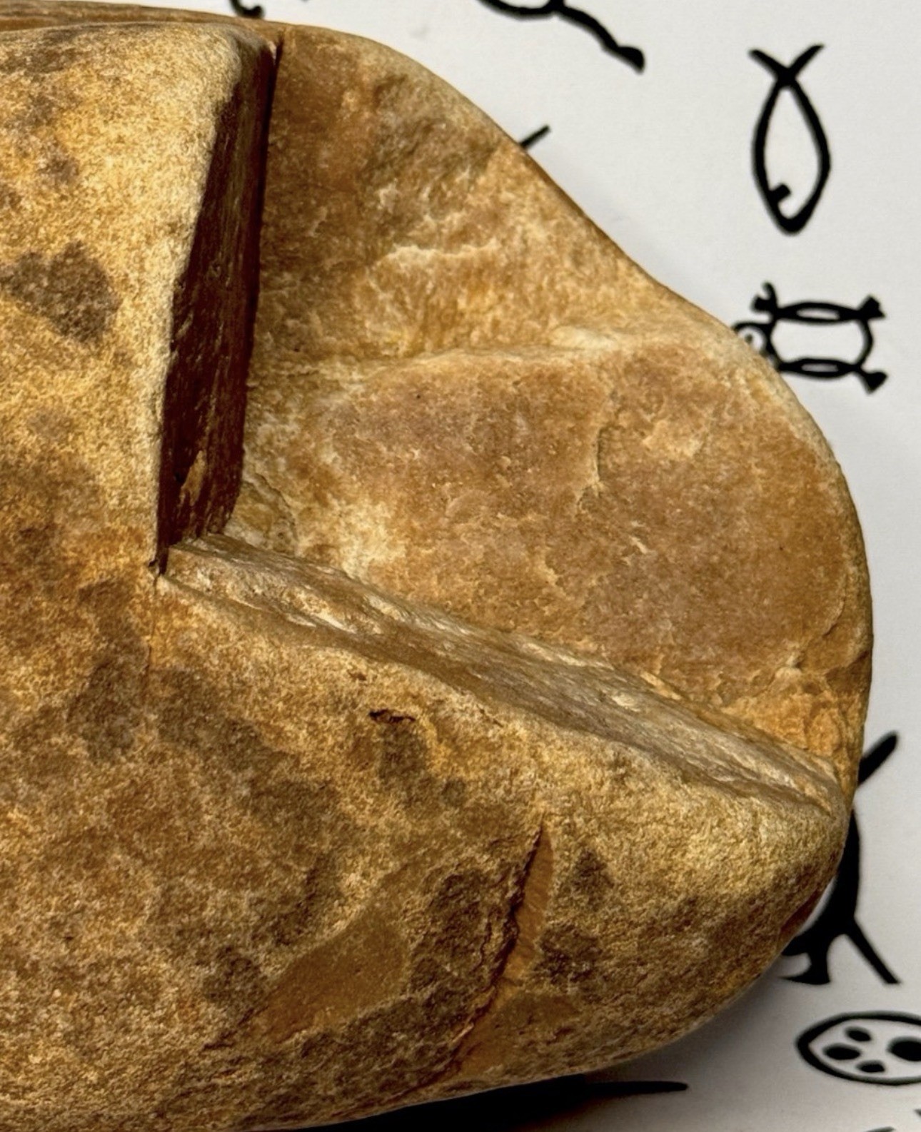 Native American Indian Authentic Artifact Stone Carved Effigy, 3 lb 2 oz • VA