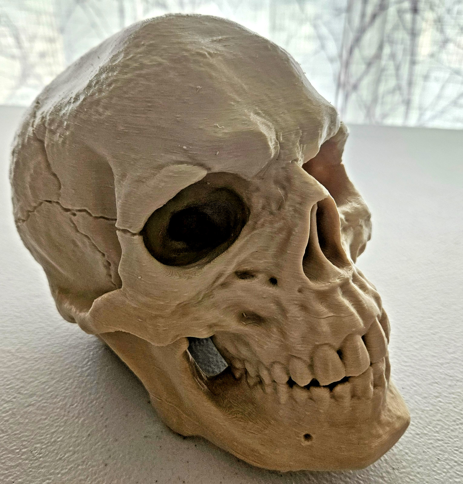 Large 3D Printed Human Skull 8 inch • Bone Color • Realistic Artistic Model