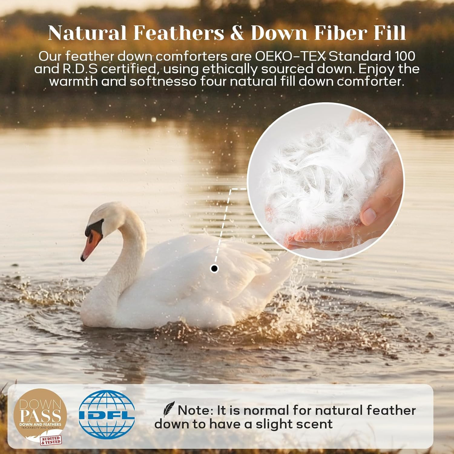 Queen Size down Comforter - All Season Ultra Soft Goose down & Feather Fiber Fil