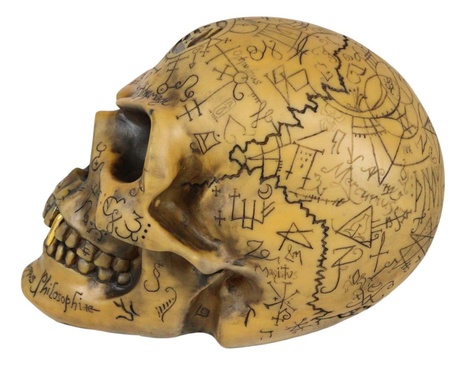 Ebros Alchemy Alpha Omega Ancient Mystical Symbols Skull Sharp Canine Figurine