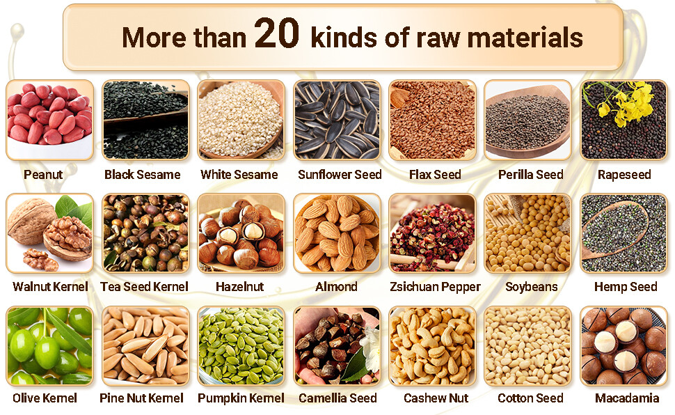 Automatic Seed Oil Press Machine Stainless Steel Cold Hot Expeller Extractor USA