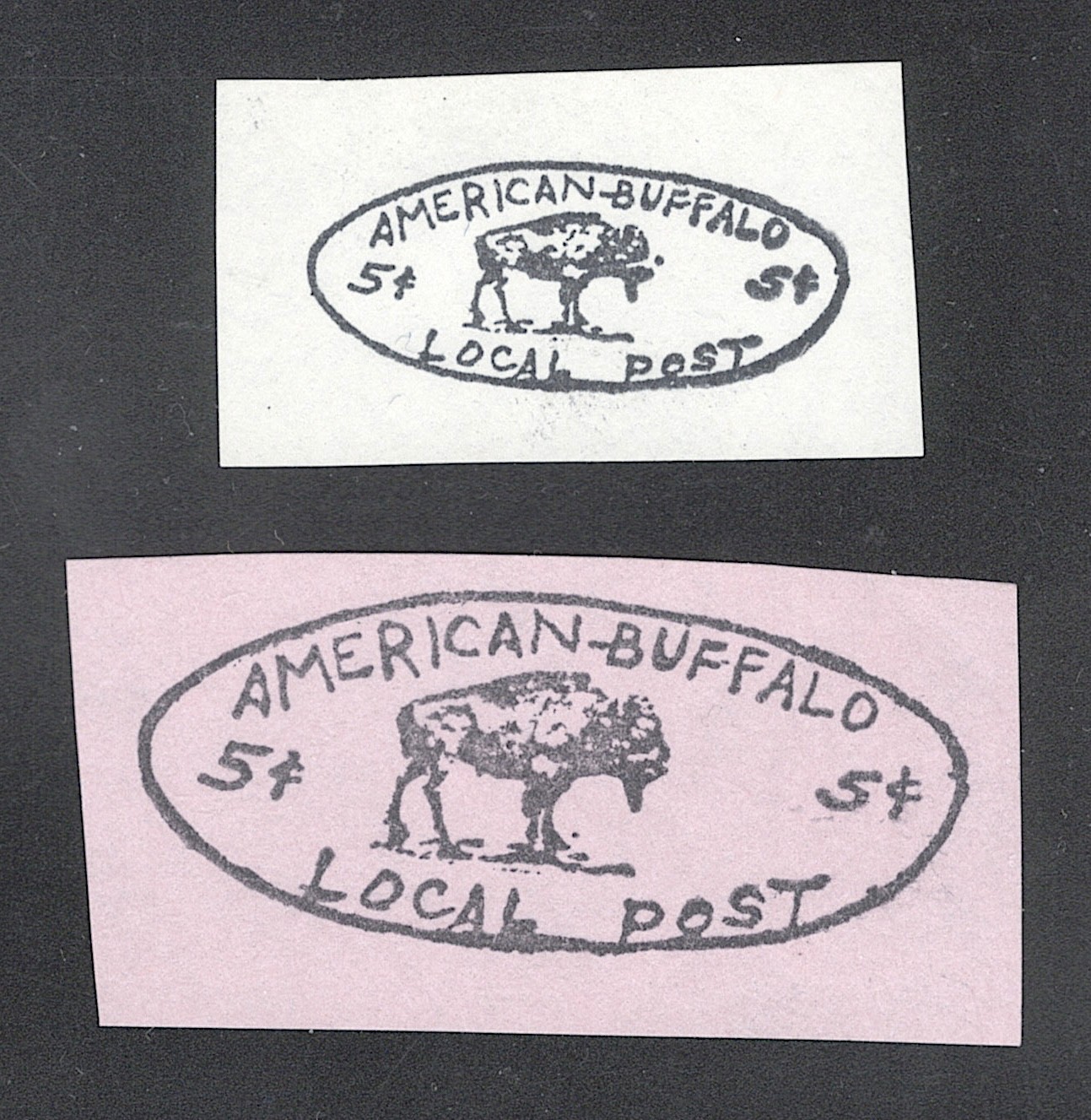 US private local post printings 5c Buffalo