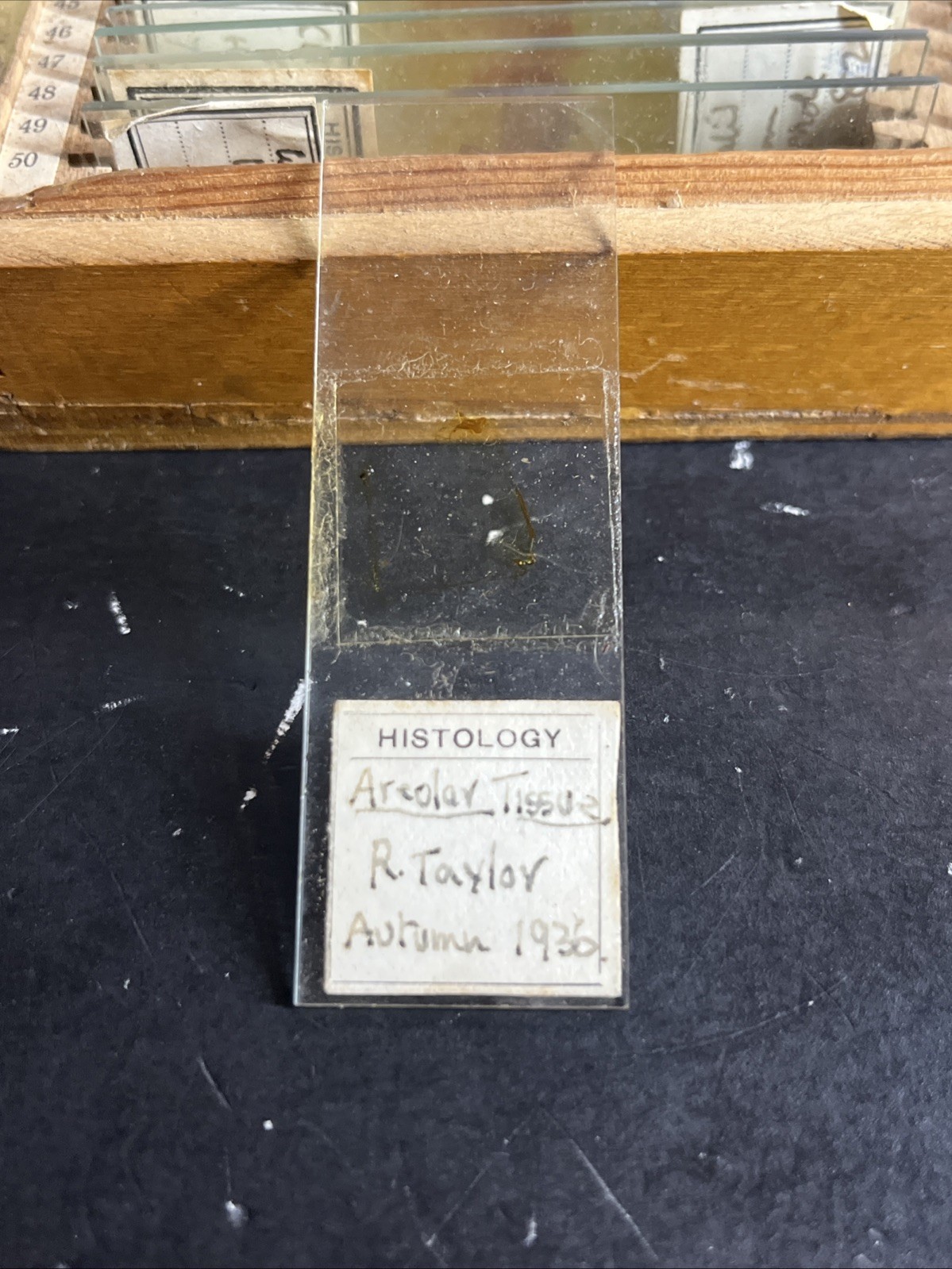 Antique 1936 University of Edinburgh Histology Microscope Slide Set Case 83