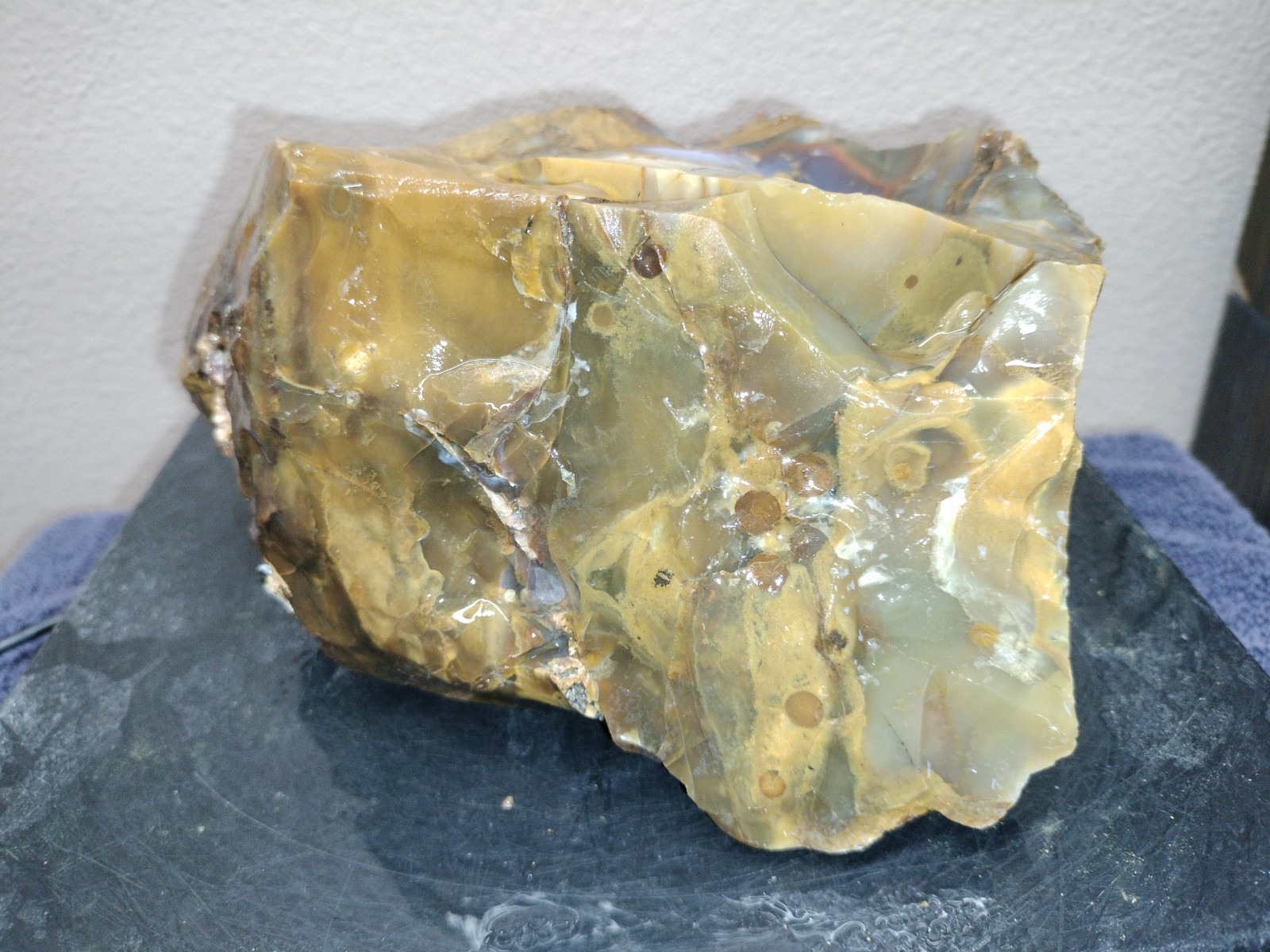 8.2LB 💙 Blue Ice Polka Dot Agate 2pc Rough Lot Ashwood, OR Cabochon Stock #24