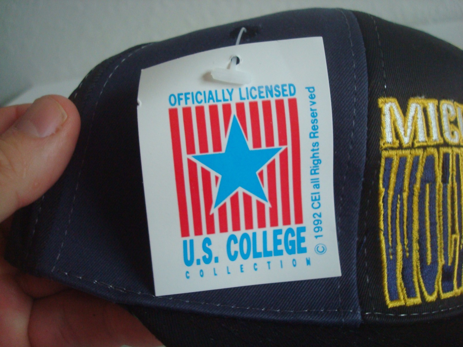 MICHIGAN WOLVERINES DREW PEARSON PINWHEEL 1993 CAP HAT 90S VINTAGE SNAPBACK M3