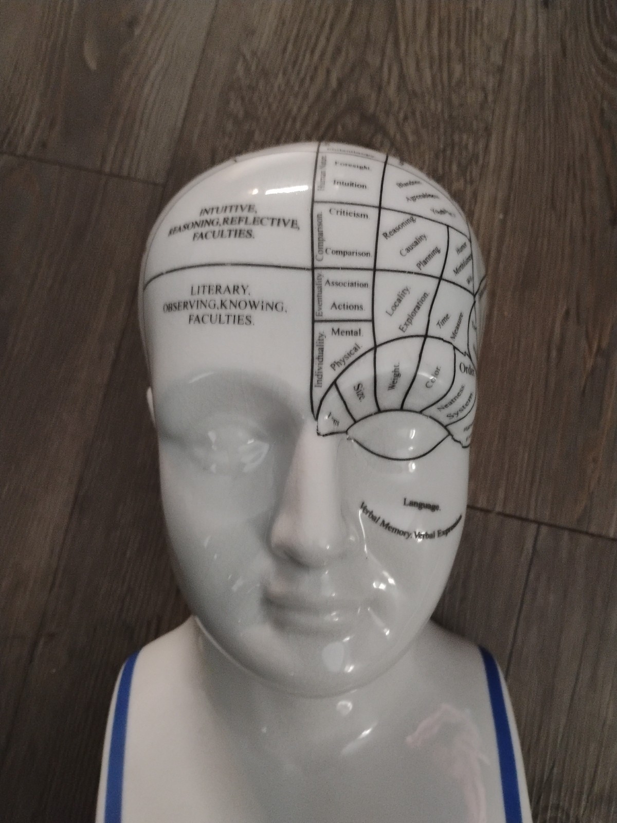 Phrenology Bust L.N. Fowler Scientific Psychology 12" Bank Ceramic Head