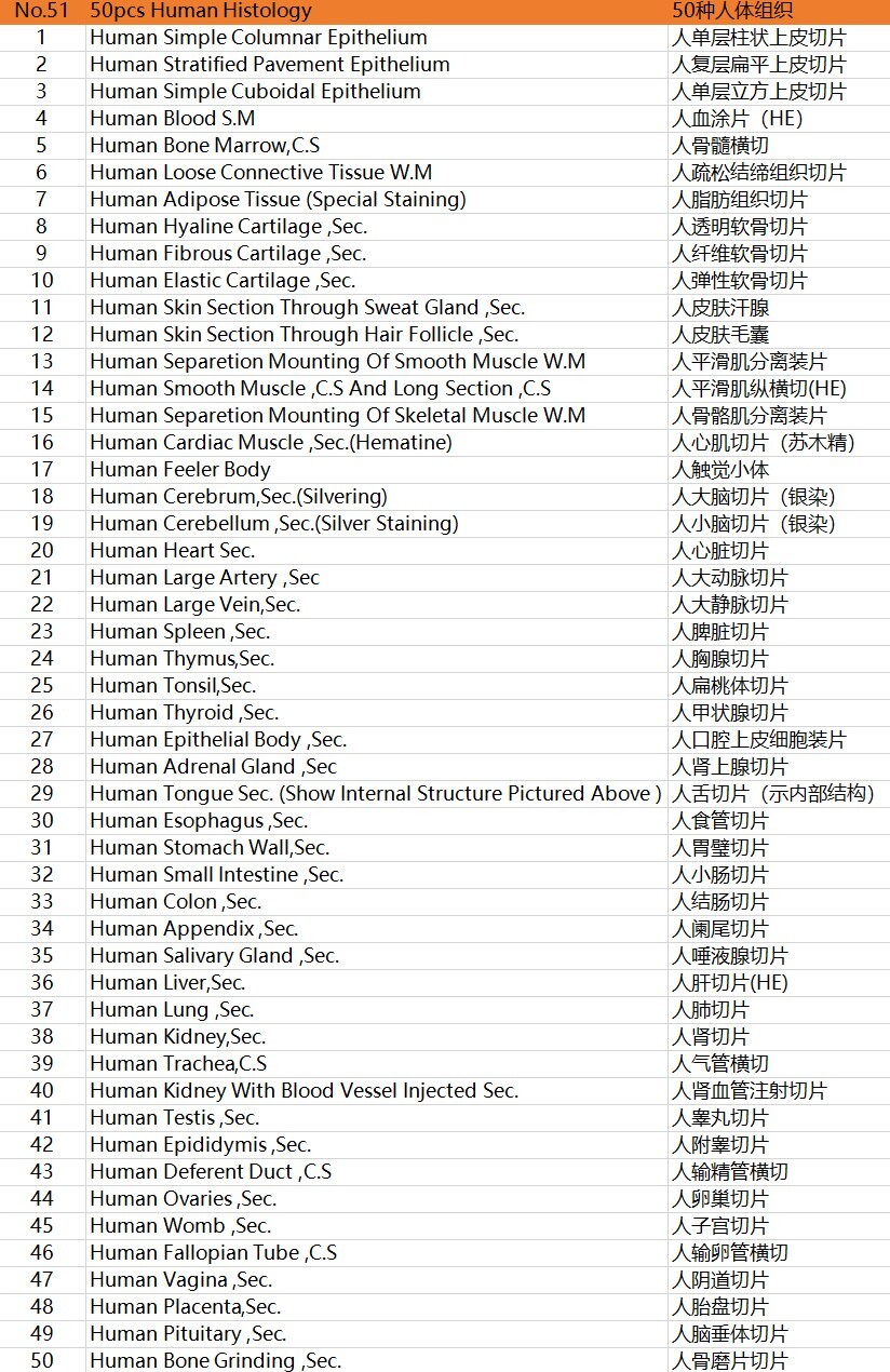 50PCS New Mammal Tissue Sections Histology Prepared Specimen Microscope Slides