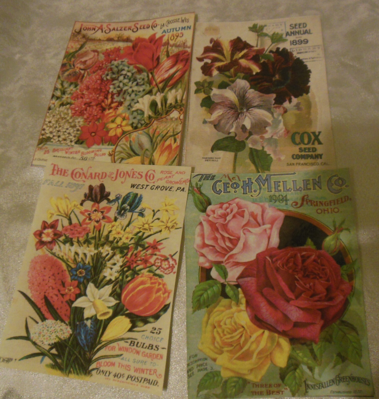 Set of 16 LARGE Vintage Seed Catalog Cover images-Flowers-1800's to early 1900's
