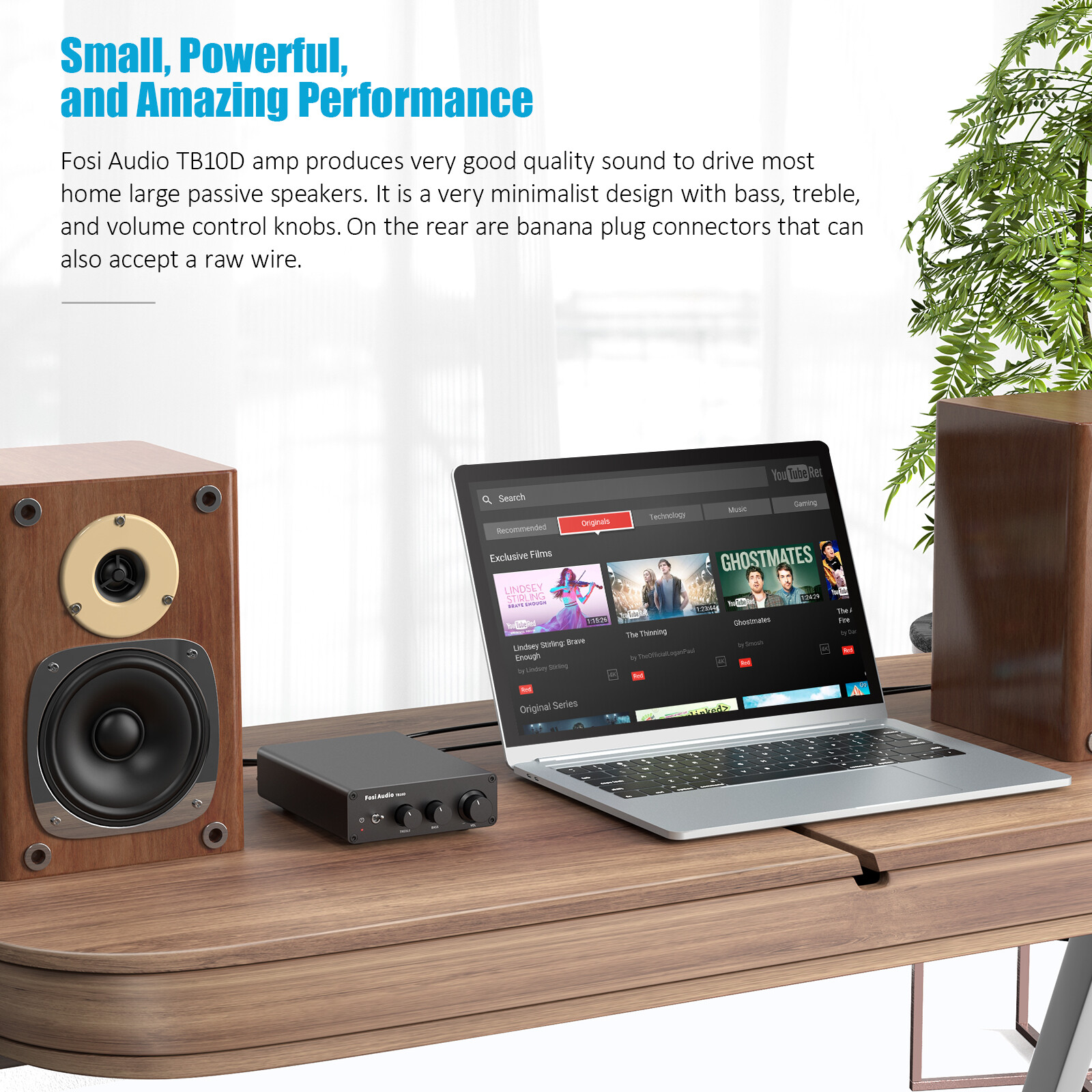 Fosi Audio TB10D 300Wx2 HiFi Digital Power Amplifier TPA3255 Class D Home Amp