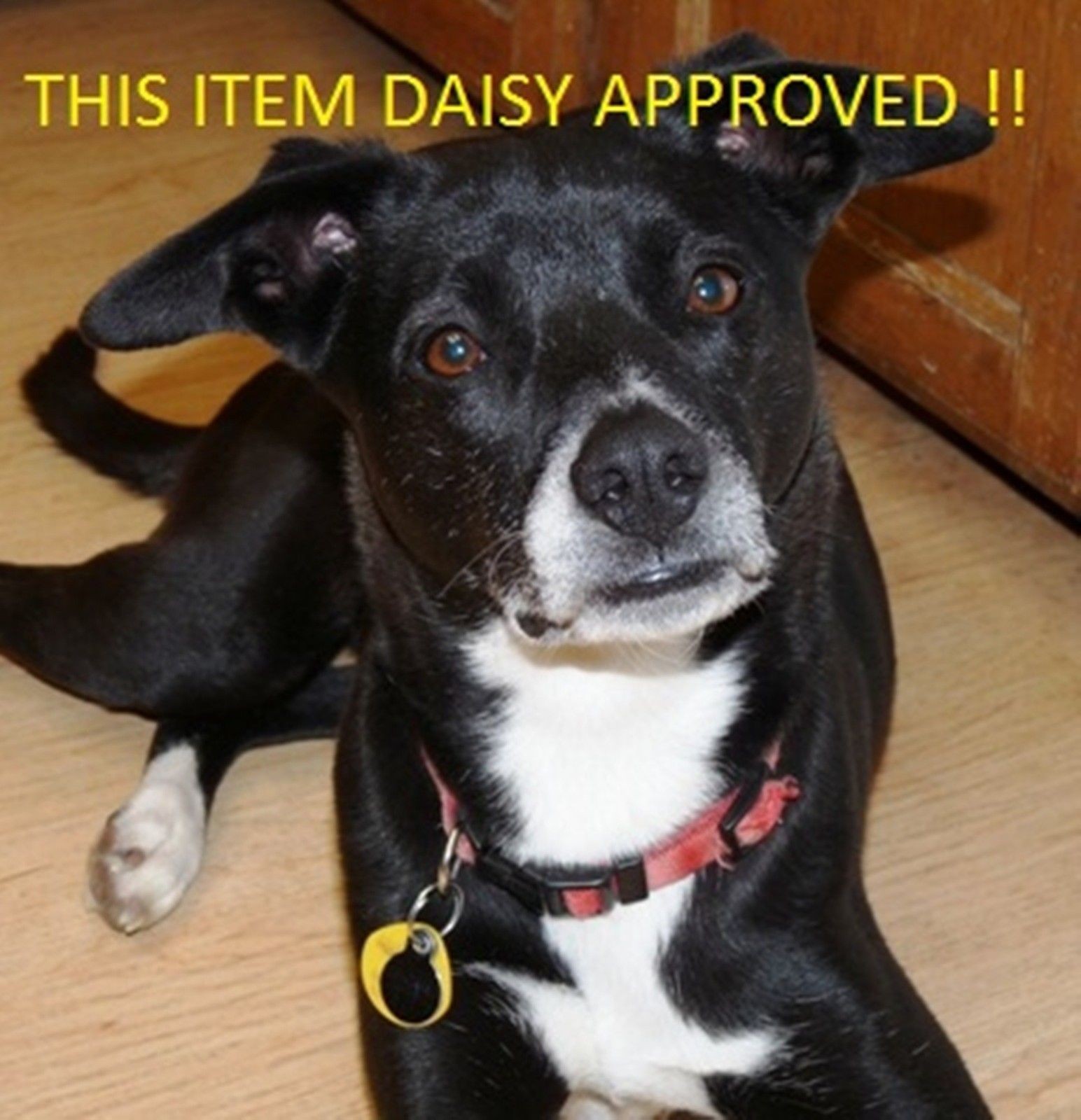 44-7/8" Band Saw Blade 14/18 TPI Milwaukee 48-39-0543 fit 6232-6 Bulk Lot of 50