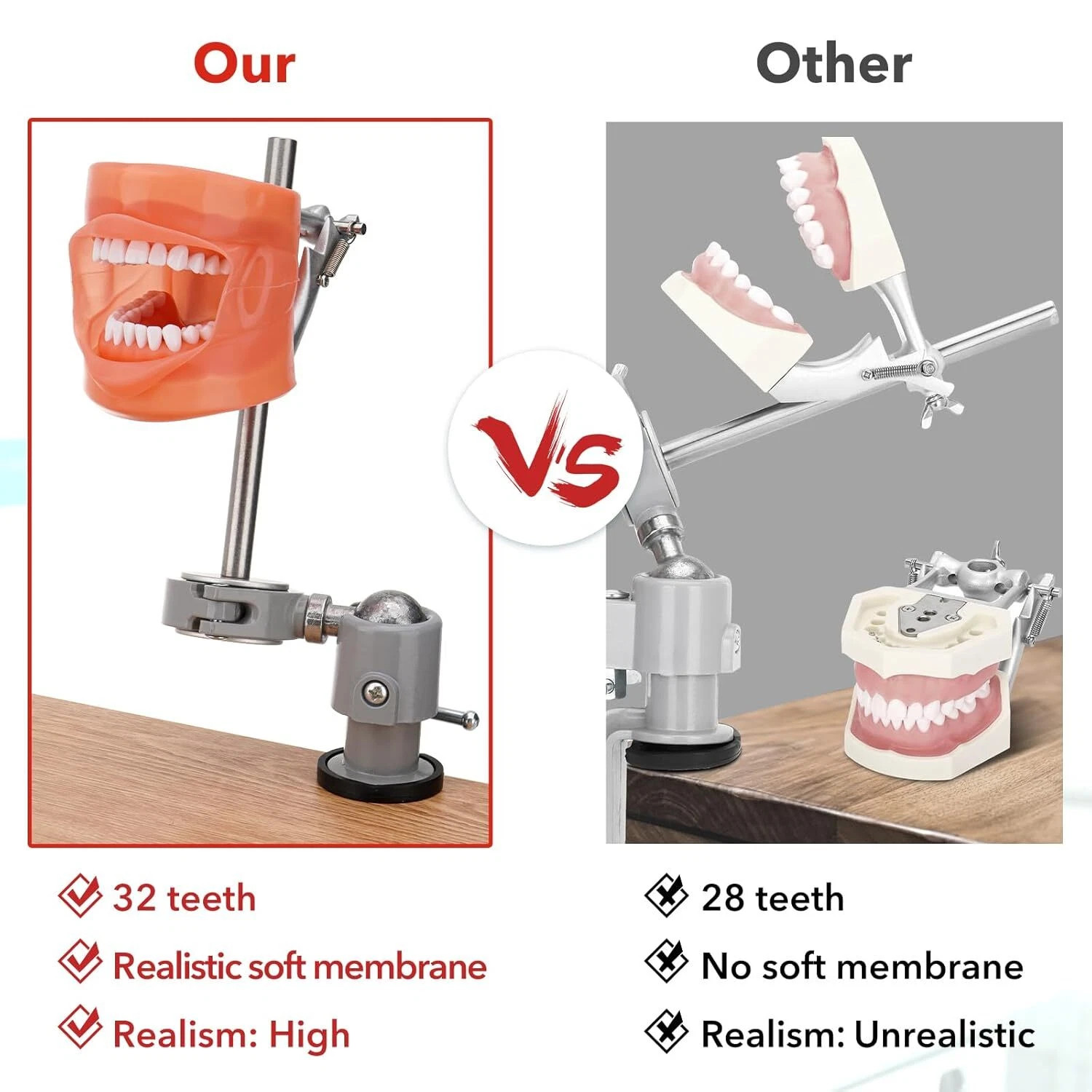 Dental Typodont Mounting Pole & 32 Removable Teeth Model Set - 360° Rotating USA