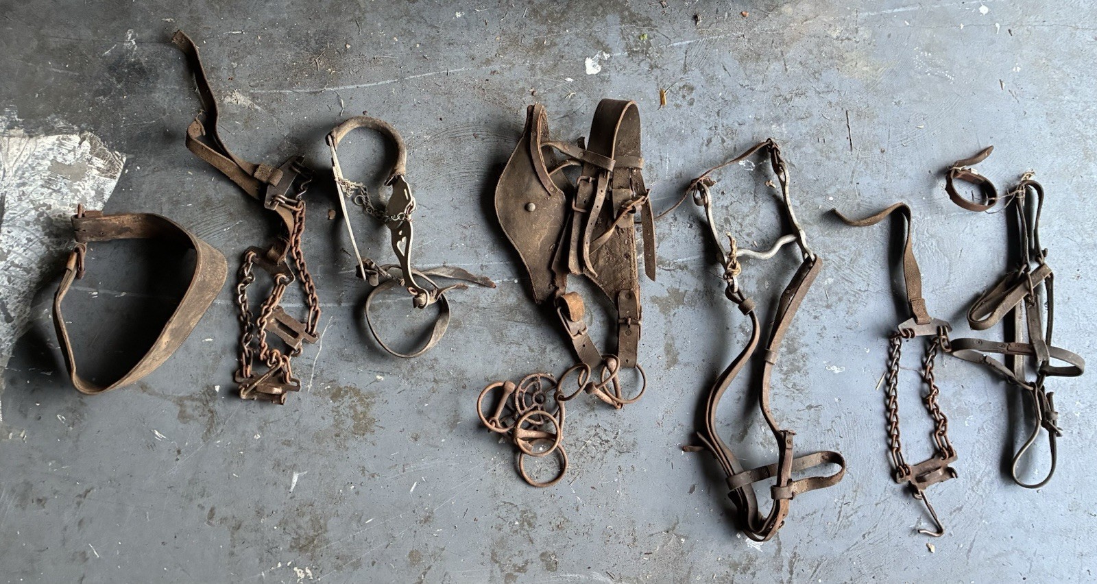 Vintage Horse Tack Blinders Bit Silester Hackamore