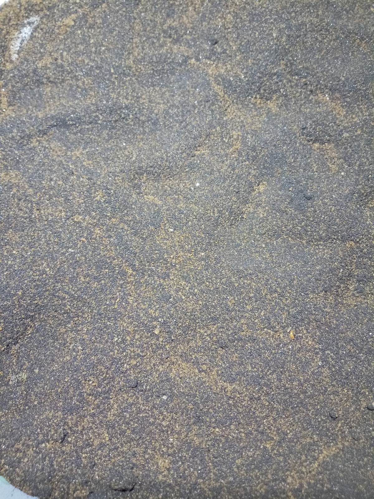 1+ Pound Gold Sluice Concentrate Magnetite Hematite Ilmenite