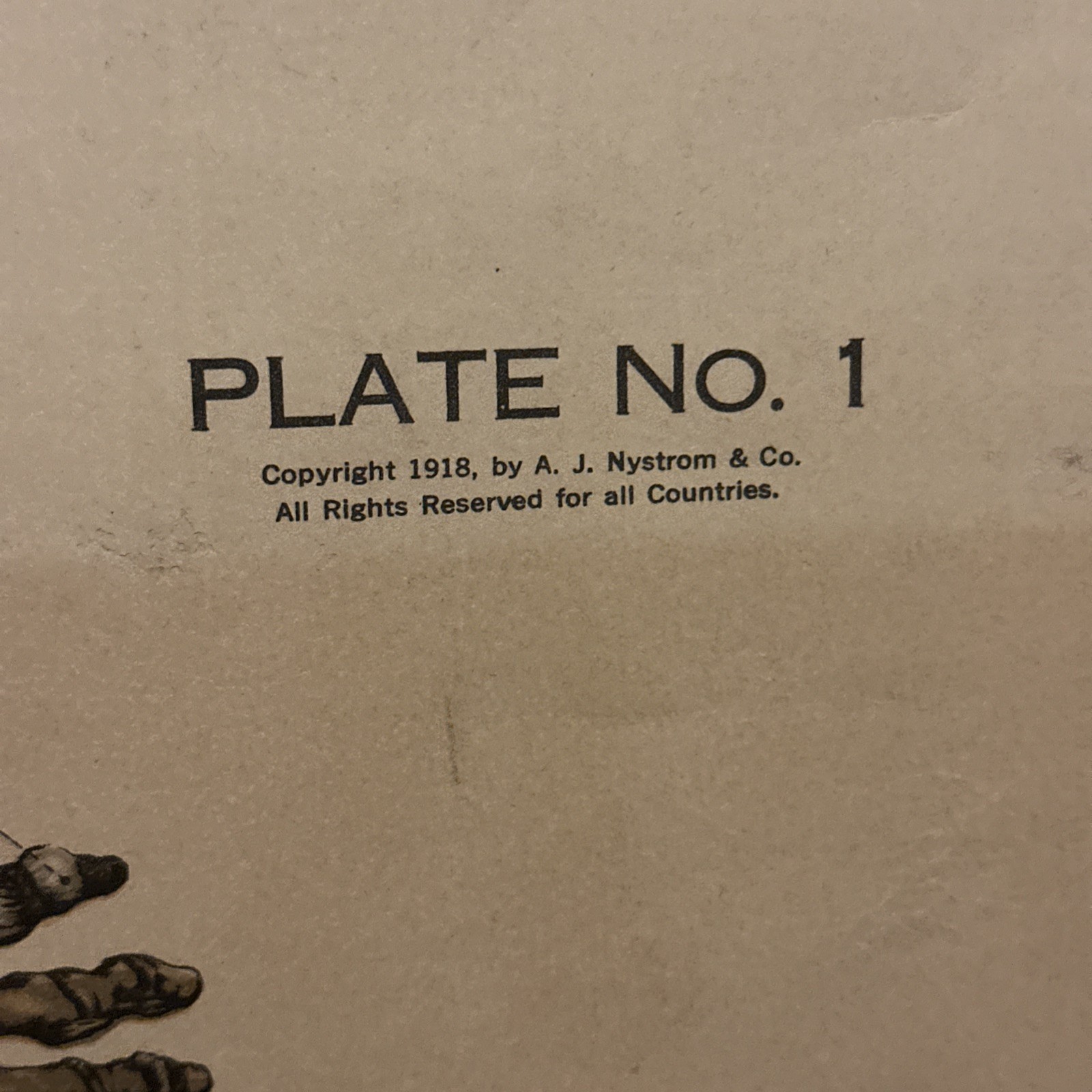 1918 A. J. Nystrom Co American Frohse Anatomical Chart Human Skeleton Max Brodel