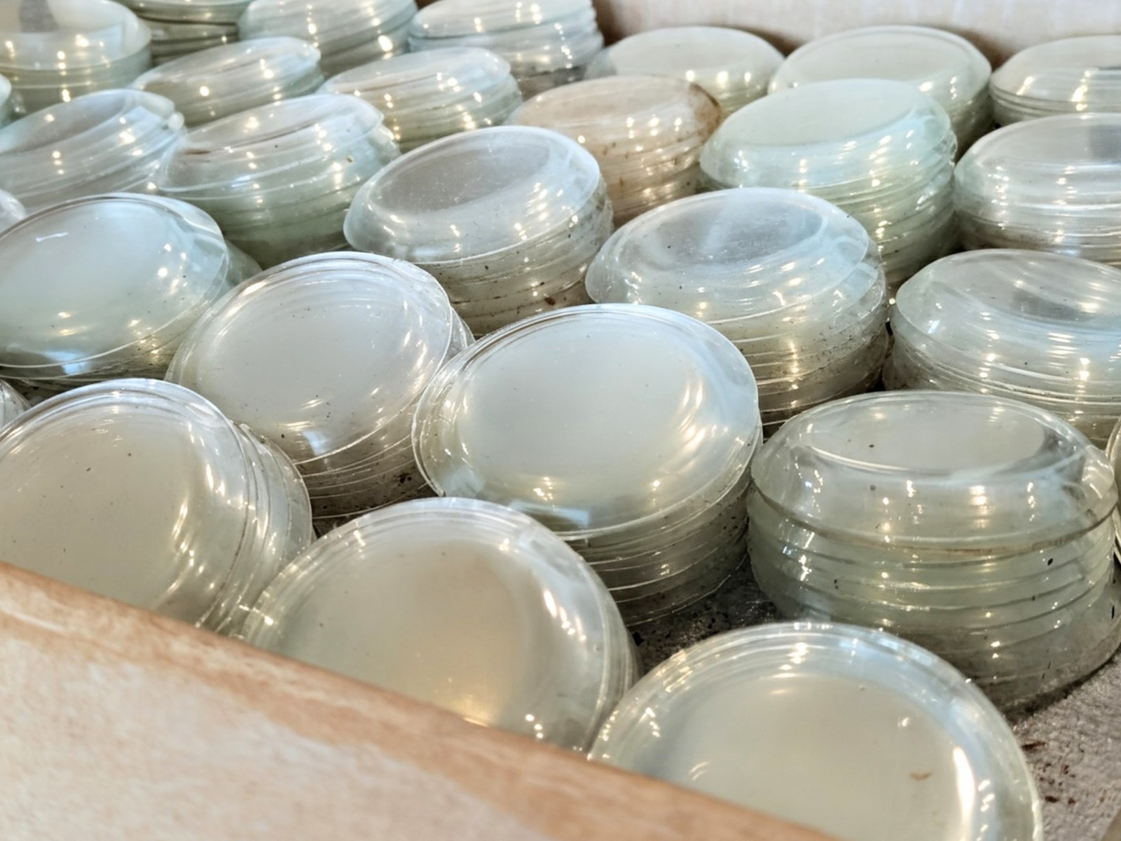 Pocket Watch Crystals, Multiple Sizes, Thousands Available, 3 Lenses / Set, NOS