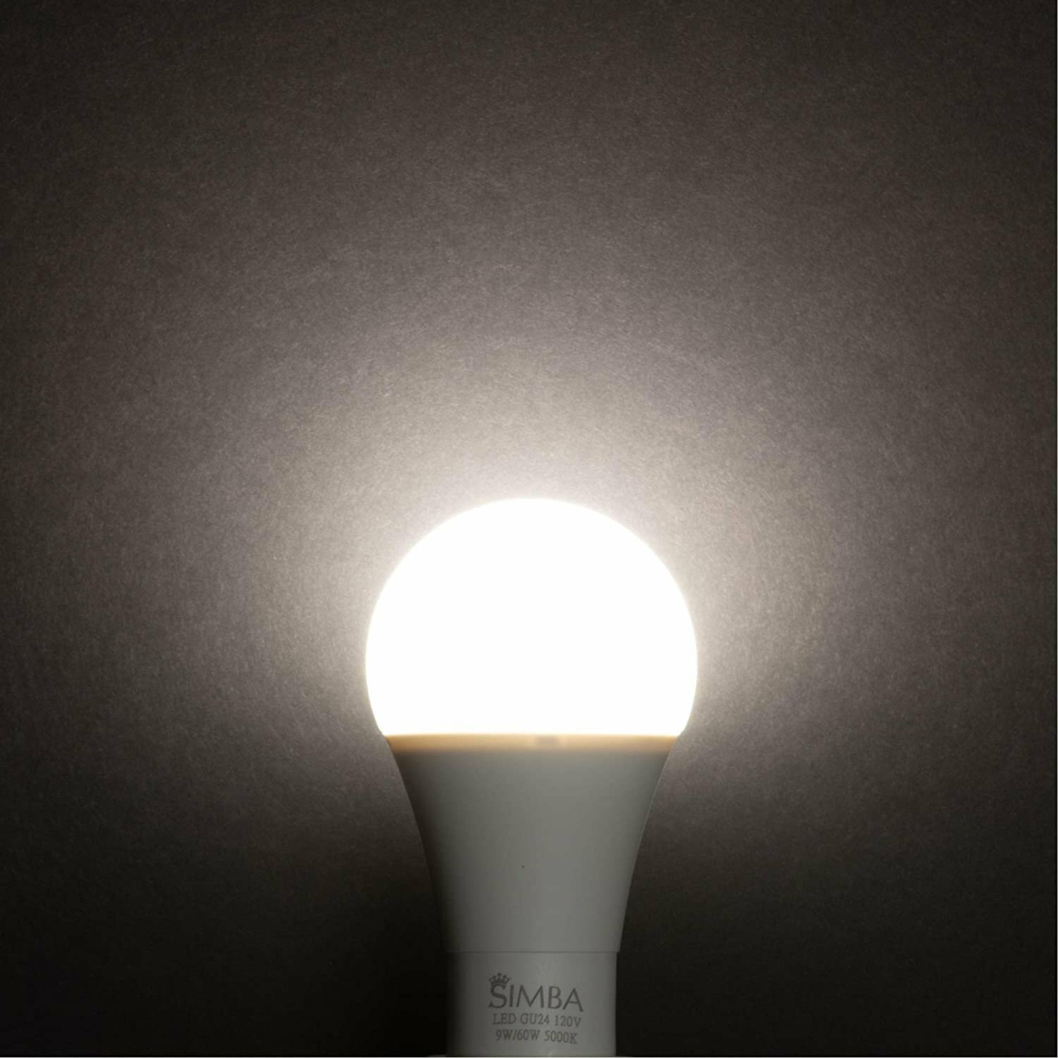 [4 Pack] LED GU24 A19 12W 75W 100W Replacement Twist Base 120V 5000K Daylight