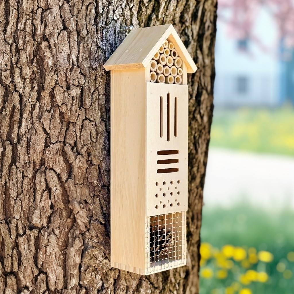 Durable Wooden Insect Habitat - Attract Ladybugs & Solitary Bees to Your Garden