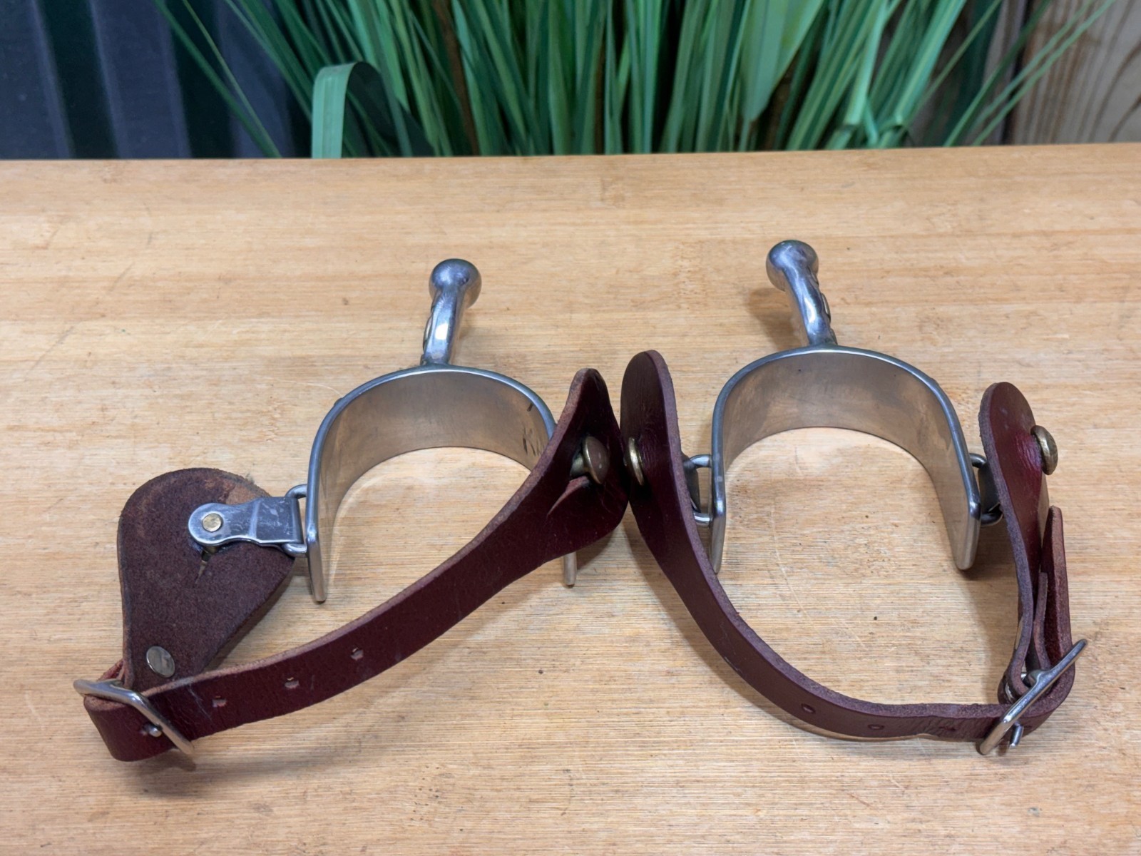 SS Short Shank Ball End Spurs w Western Pleasure Horse & Brown Leather Straps