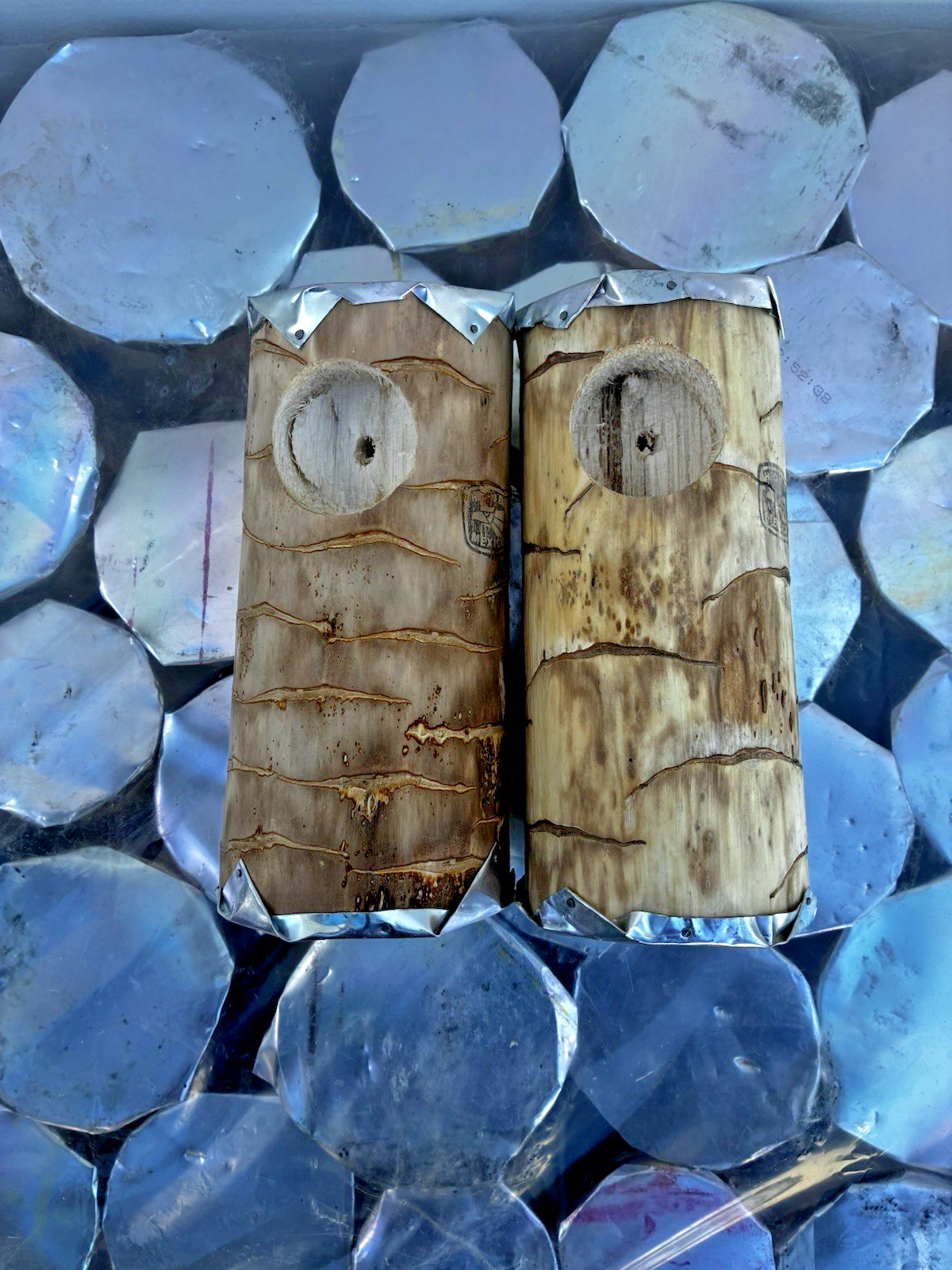 Parakeet Natural log nest - Quiote log - Lot of 2