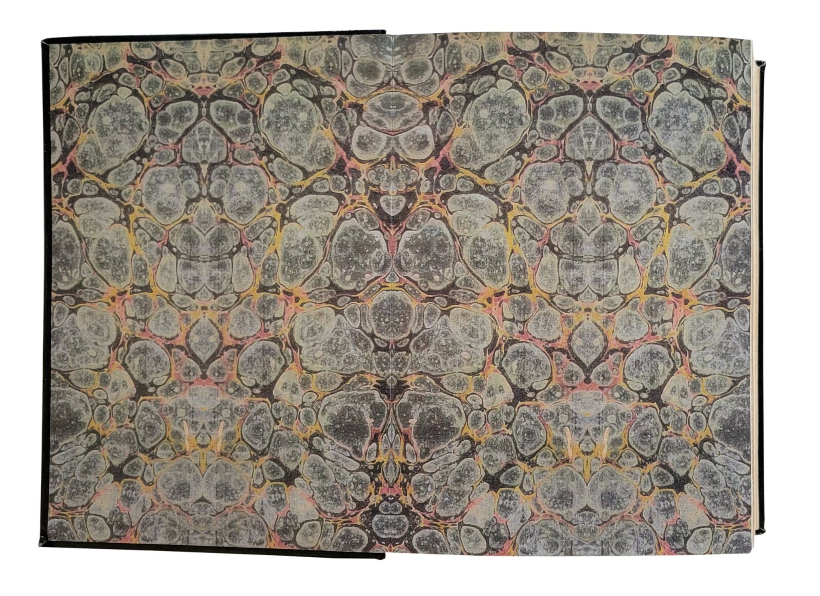 Tobin's Spirit Guide paranormal book prop