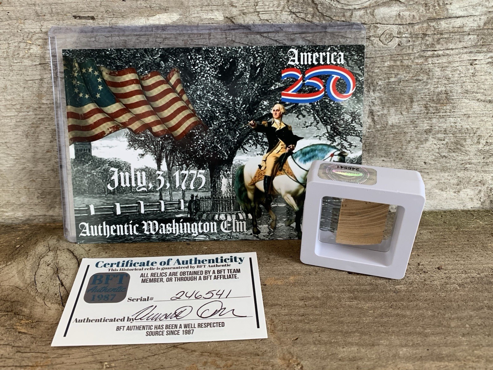 Original Piece of Georgia Washington’s Elm Revolutionary War