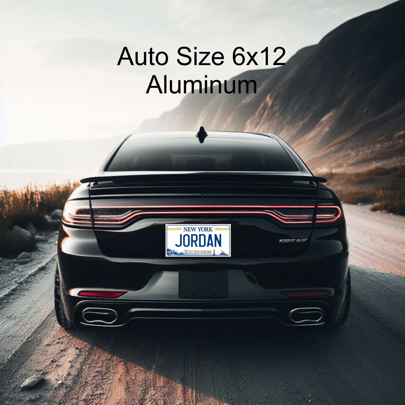 New Jersey Dealer License Plate Personalized Novelty Custom Car Auto