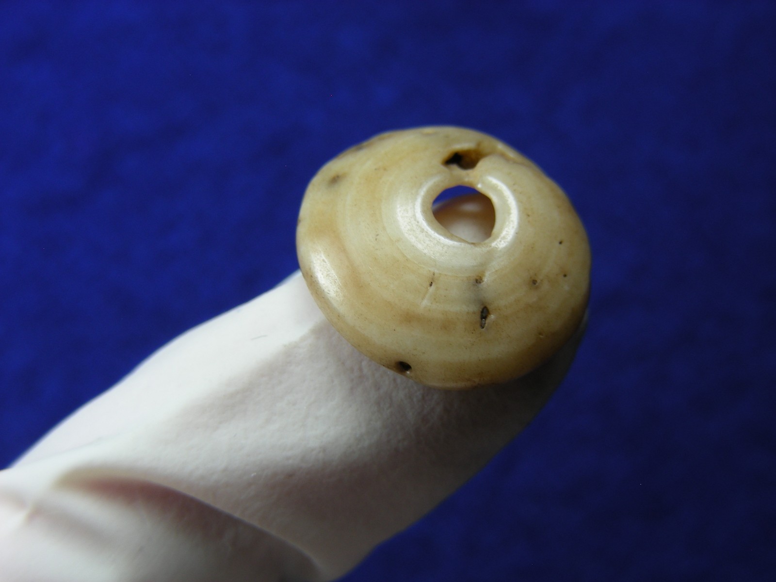 EXCELLENT DRILLED SHELL BEAD 11/16" TENNESSEE Authentic Indian Artifacts