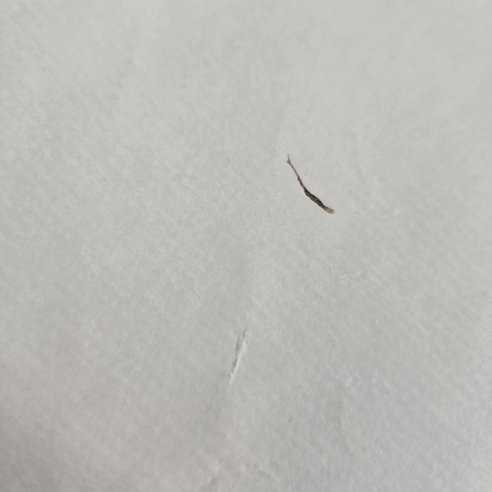 1960 Veterinary Medicine In America Poster History Map Unframed Vtg Vet Wall Art