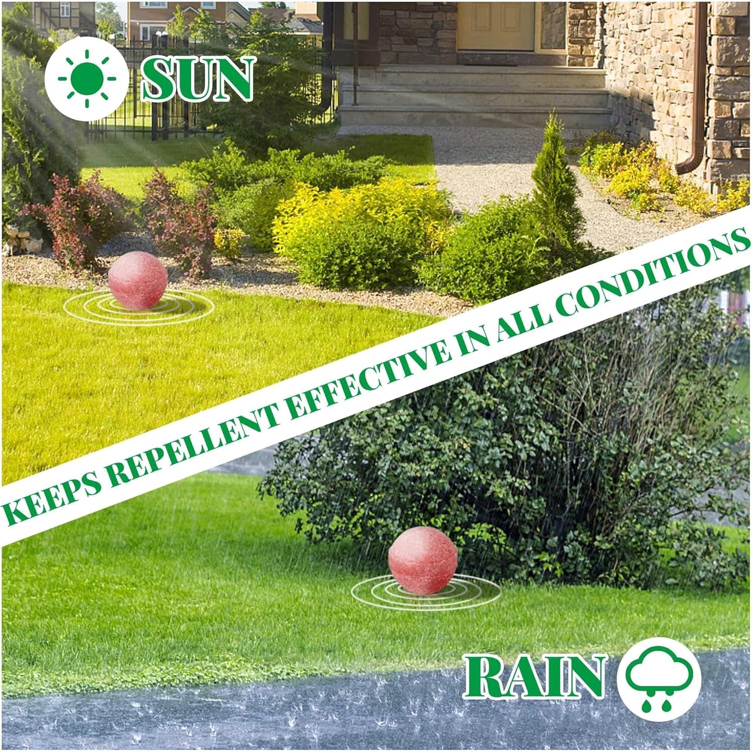 12 Pack Cat Repellent Outdoor Indoor, Cat & Dog Nature Repellents Peppermint Oil