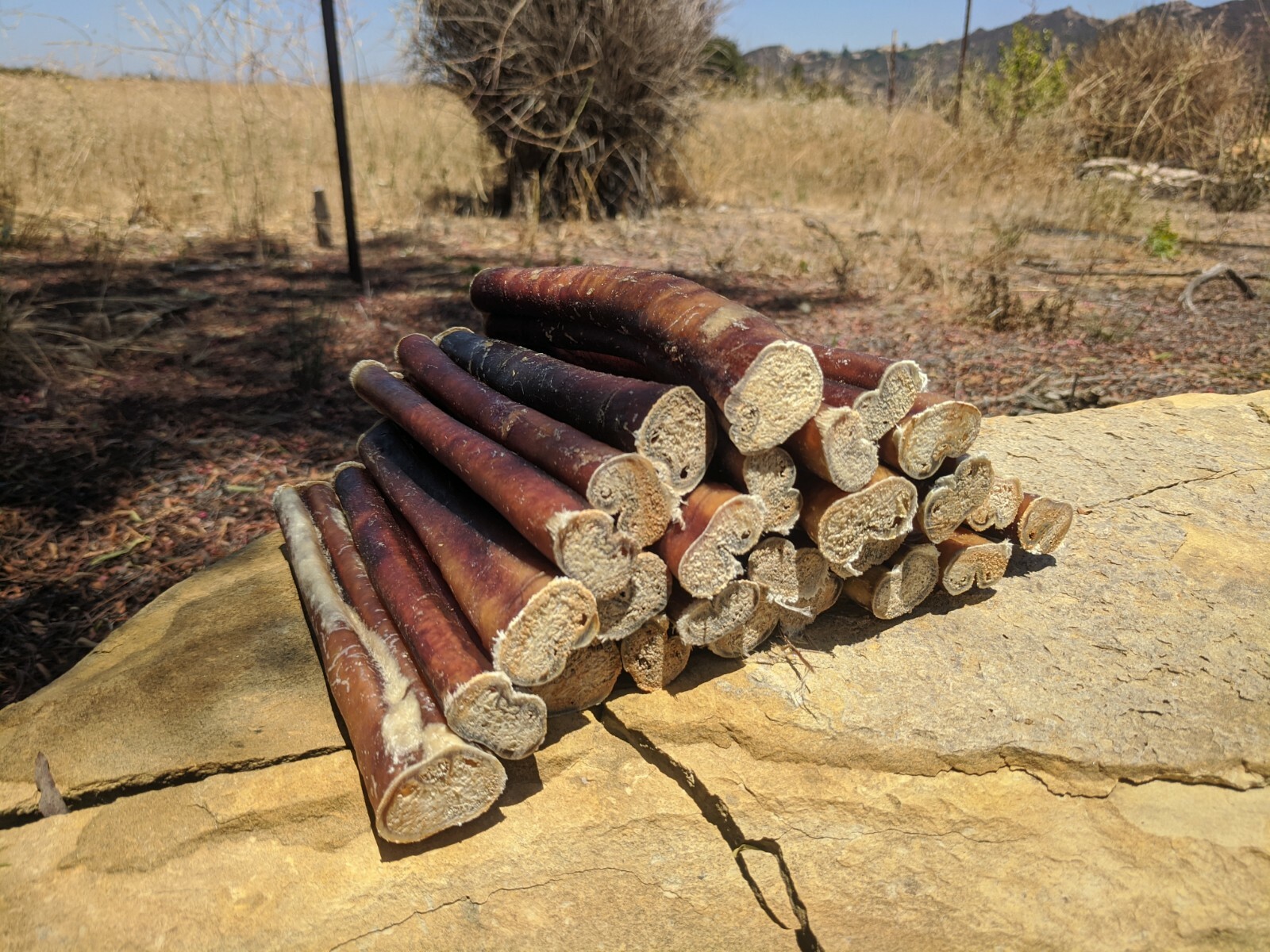 6" inch Black Angus JUMBO THICK BULLY STICKS natural dog chews treats USA SOURCE