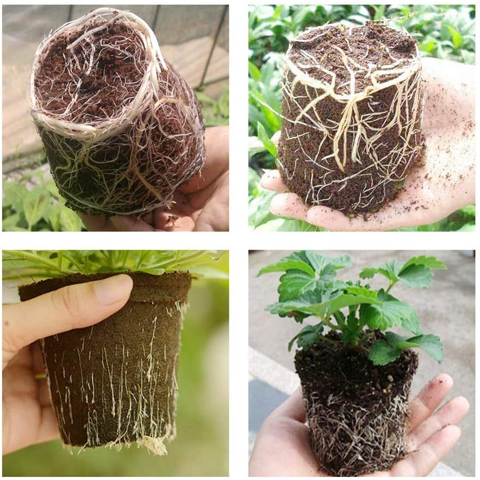 Plastic Plant Flower Pots Nursery Seedlings Pot Plant Container 100Pcs