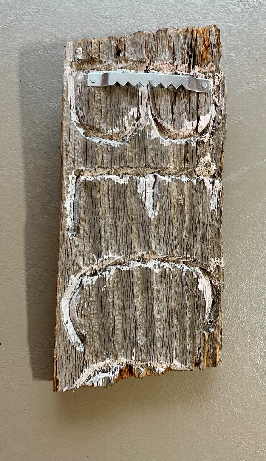 Rio Grande 8" Wild Turkey Beard with Spurs, 1 1/8" Each, from 2025 Season