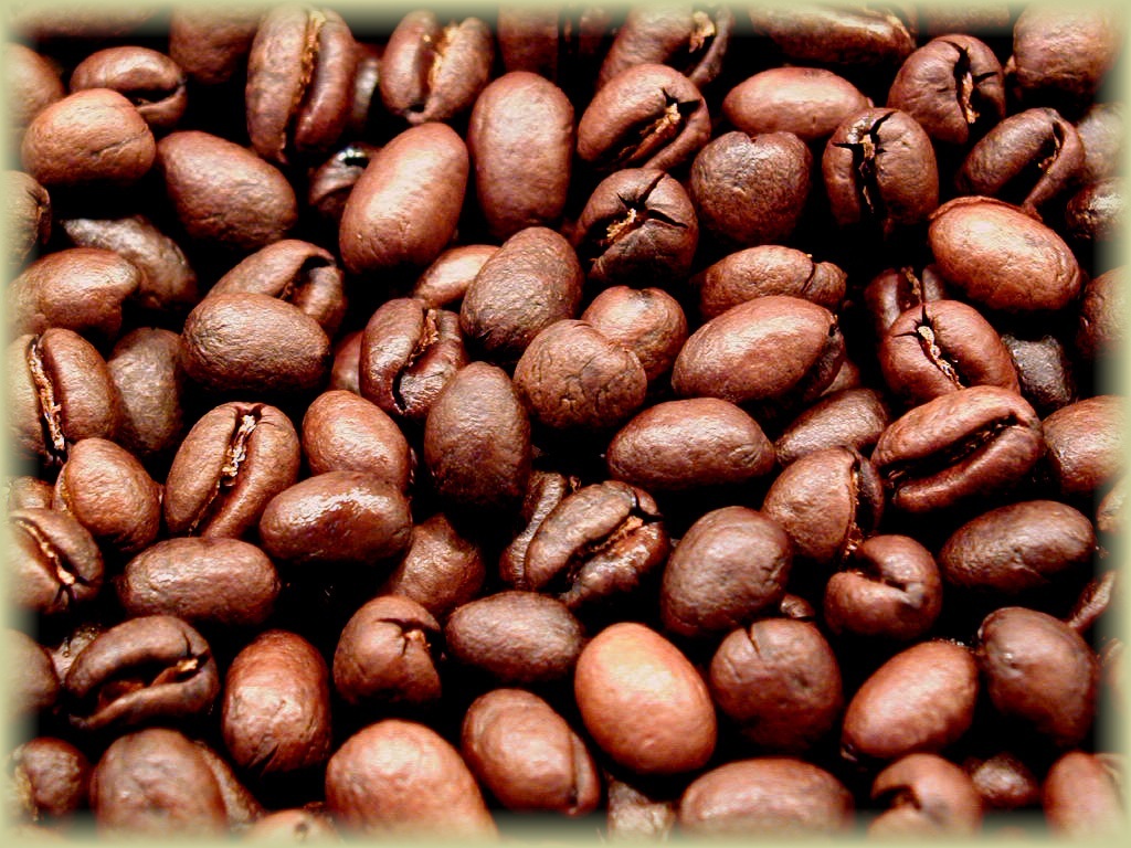 TANZANIA KILIMANJARO COFFEE BEANS PEABERRY MEDIUM ROASTED 5 POUNDS