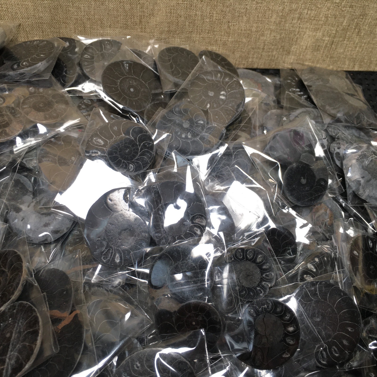 10 Pairs of Split black Ammonite Specimen Shell Healing