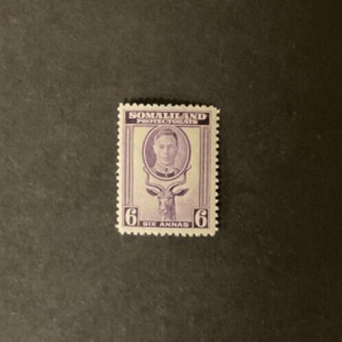 Stamps Somaliland Protectorate Scott #101 never hinged