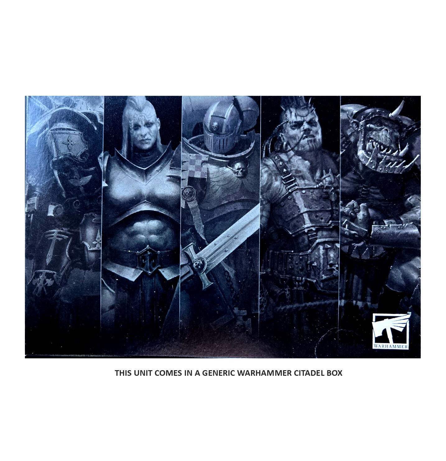 The Changeling Disciples Of Tzeentch Warhammer Age Of Sigmar