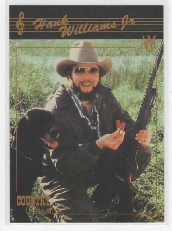 HANK WILLIAMS Jr. "Country Classics" Card Lot