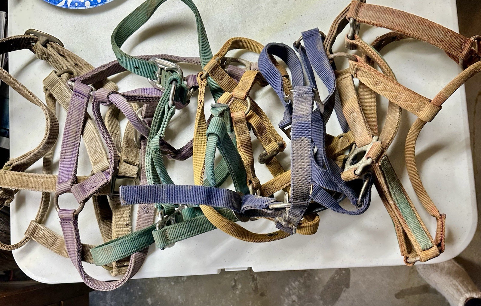 Well-used bunch of Western Horse Bridle - Lot of SIX