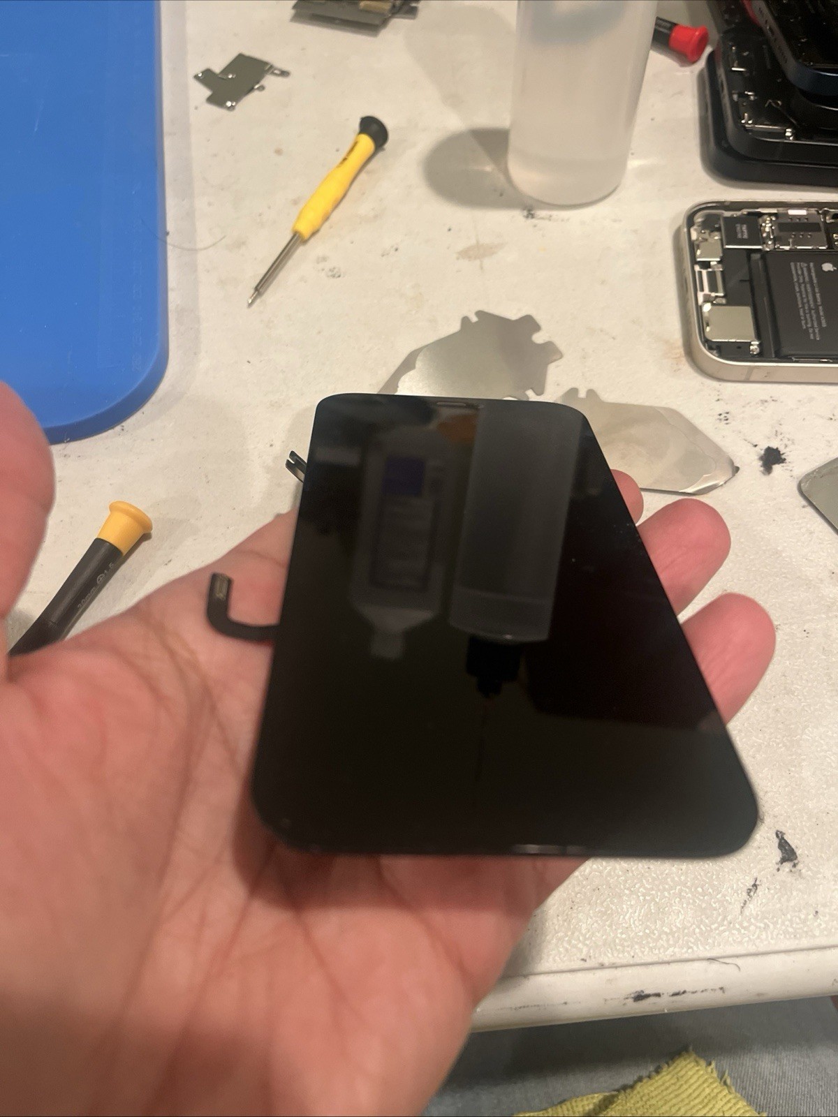 DISCOUNT Original OEM Apple iPhone 12 / 12 Pro LCD Replacement Screen Digitizer