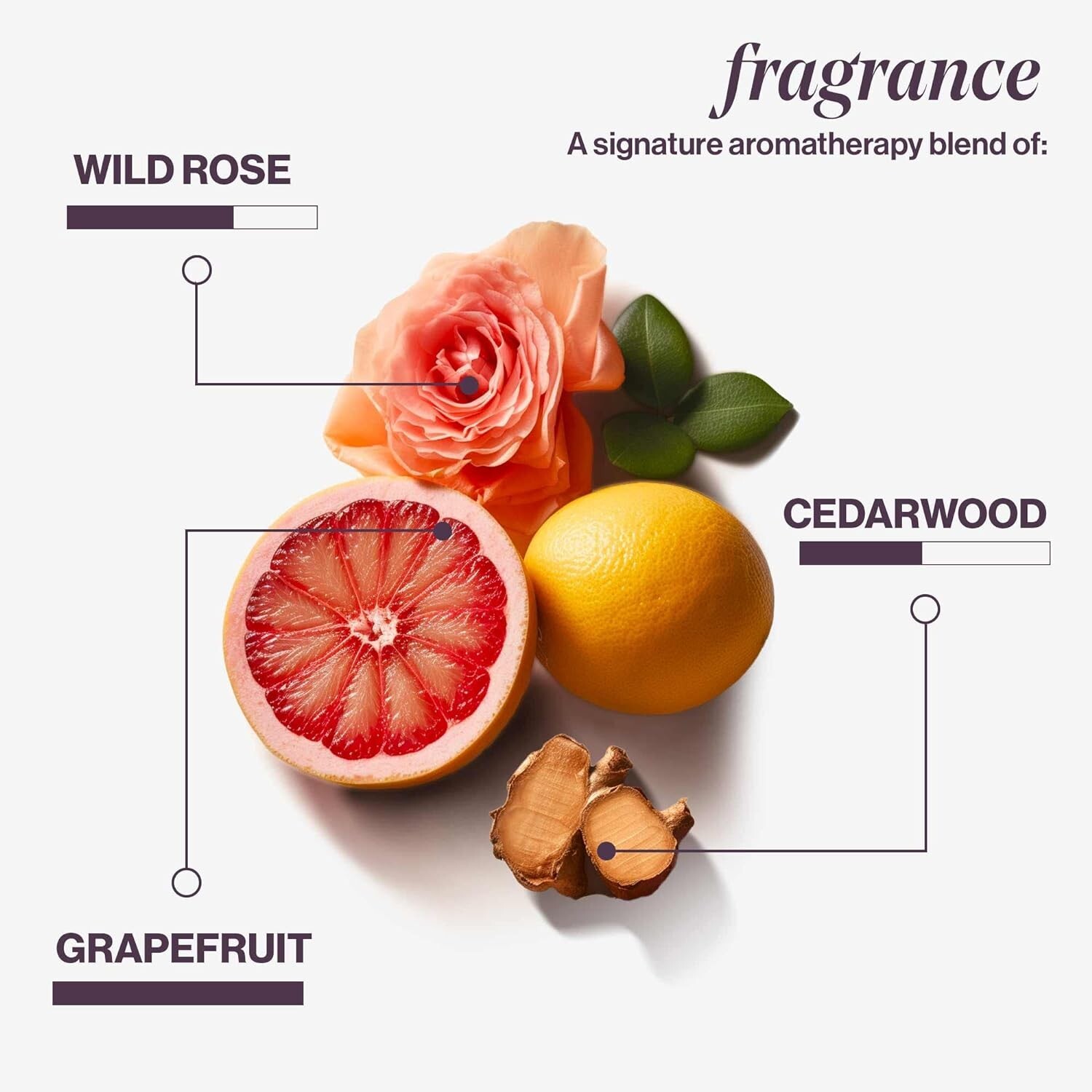 PUREOLOGY HYDRATE SHAMPOO/CONDITIONER COMBO! BRAND NEW! FRESH! SHIPS FREE!