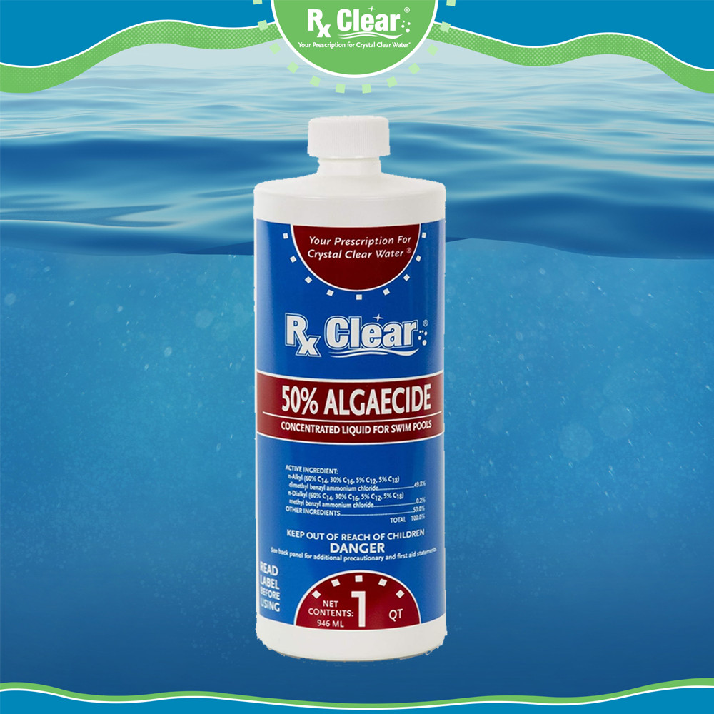 Rx Clear Algaecide 50 Plus Prevents Algae Swimming Pool Chemical - 32 oz Bottles