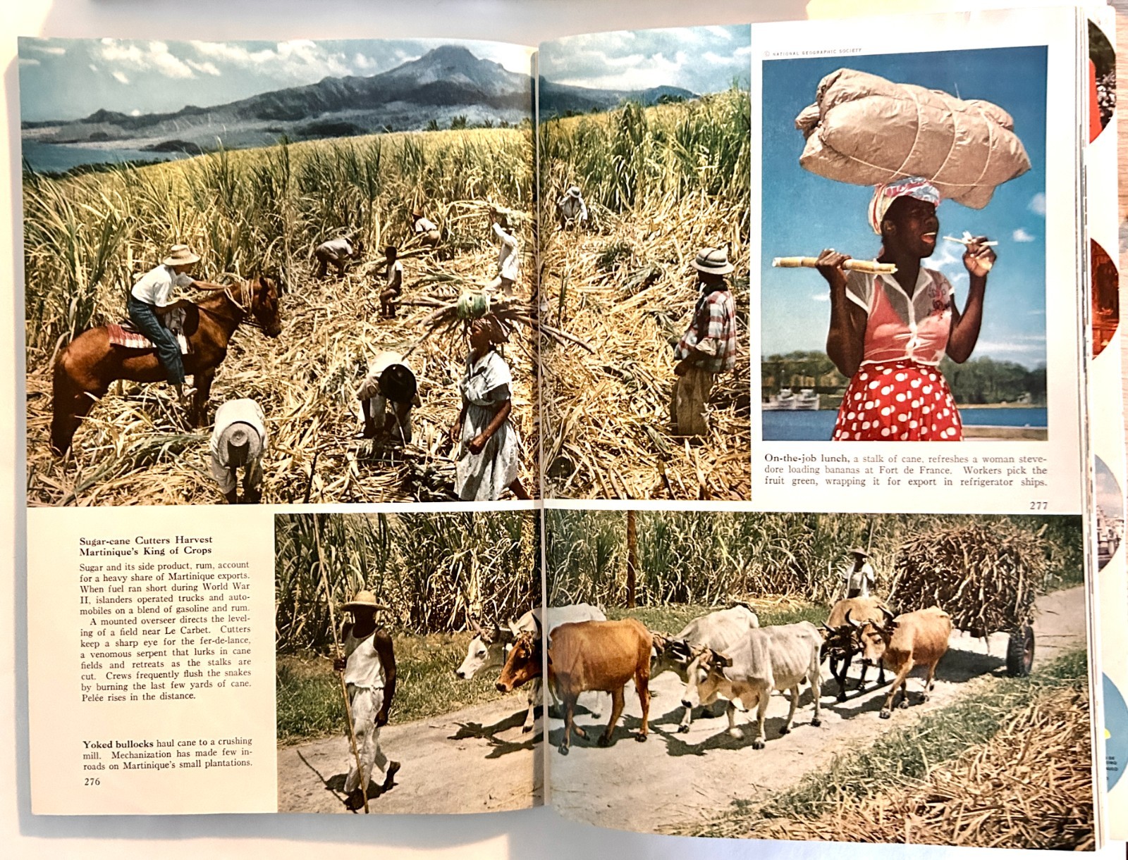 10 National Geographic Magazines Lot 1900-2010 No Dups Junk Journal Art Collage