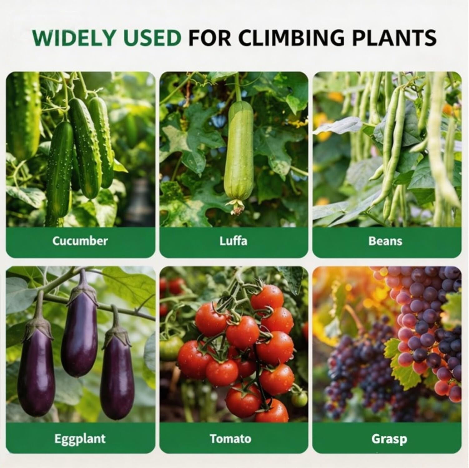 U-Shape Garden Arch Trellis for Climbing Plants Outdoor, Metal Plant Support