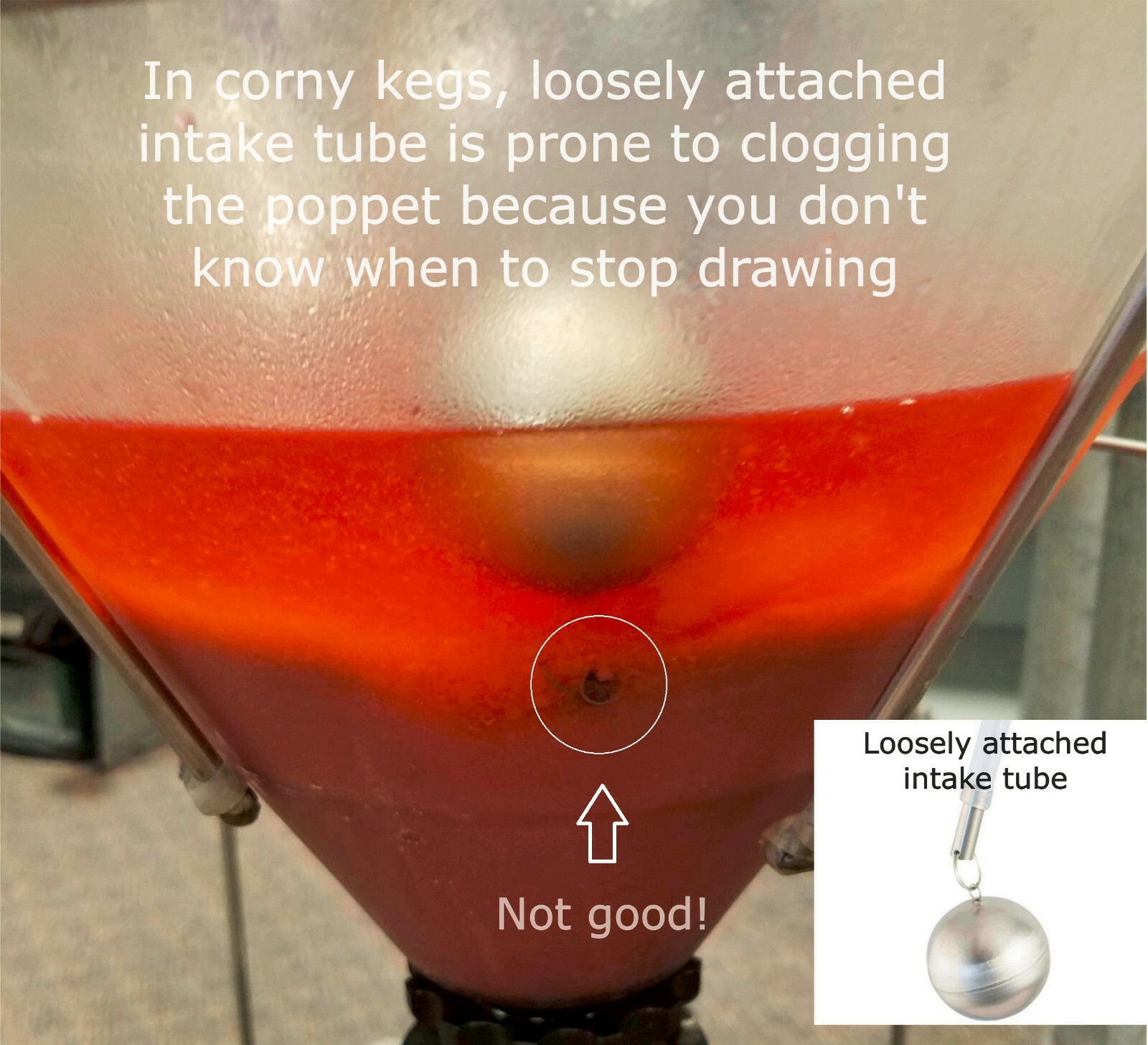 FLOTit 2.0 NO BEER LEFT BEHIND! Floating Dip Tube w/ Double Filter Inlet or DFI