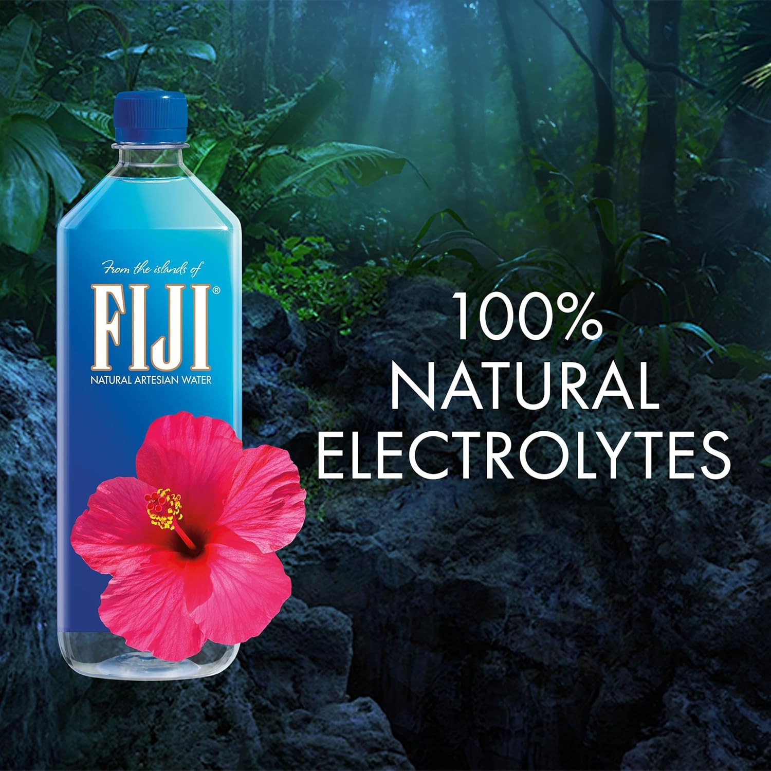 FIJI Natural Artesian Bottled Water, 1 Liter / 33.8 Fl Oz (Pack of 12)
