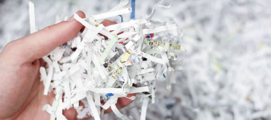 Shredded paper - by the pound lb lbs