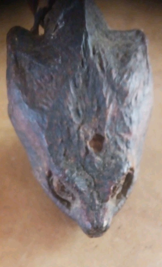 **AWESOME ANTIQUE NATIVE AMERICAN CEREMONY RATTLE OJIBWA SHAMAN NICE! *