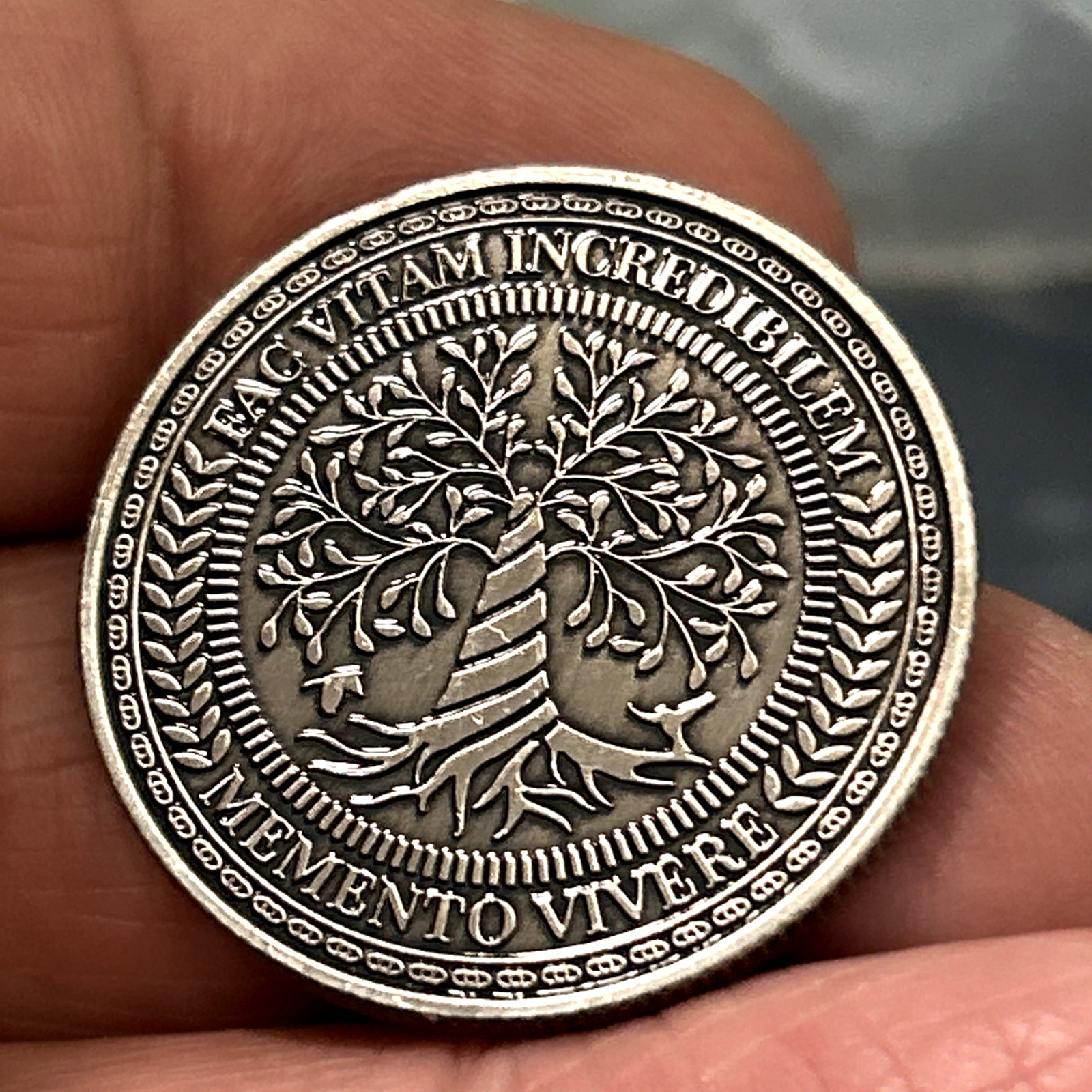 Memento Mori - Tempus Fugit Skull Lucky Pocket Piece Coin (1 PC)