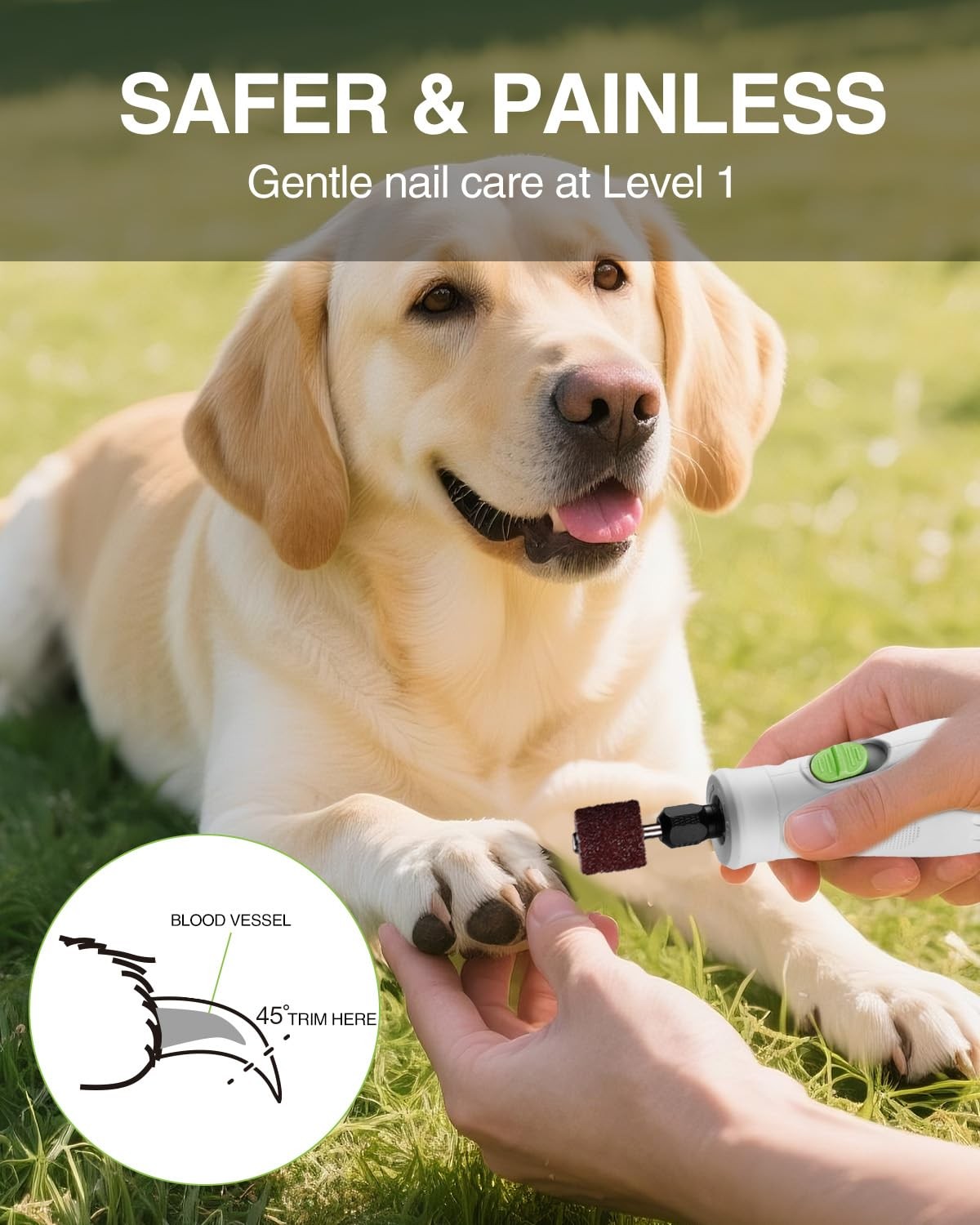 WORKPRO 6-Speed Dog Nail Grinder Pet Nail Grinder 70 Accessories Rotary Tool Set