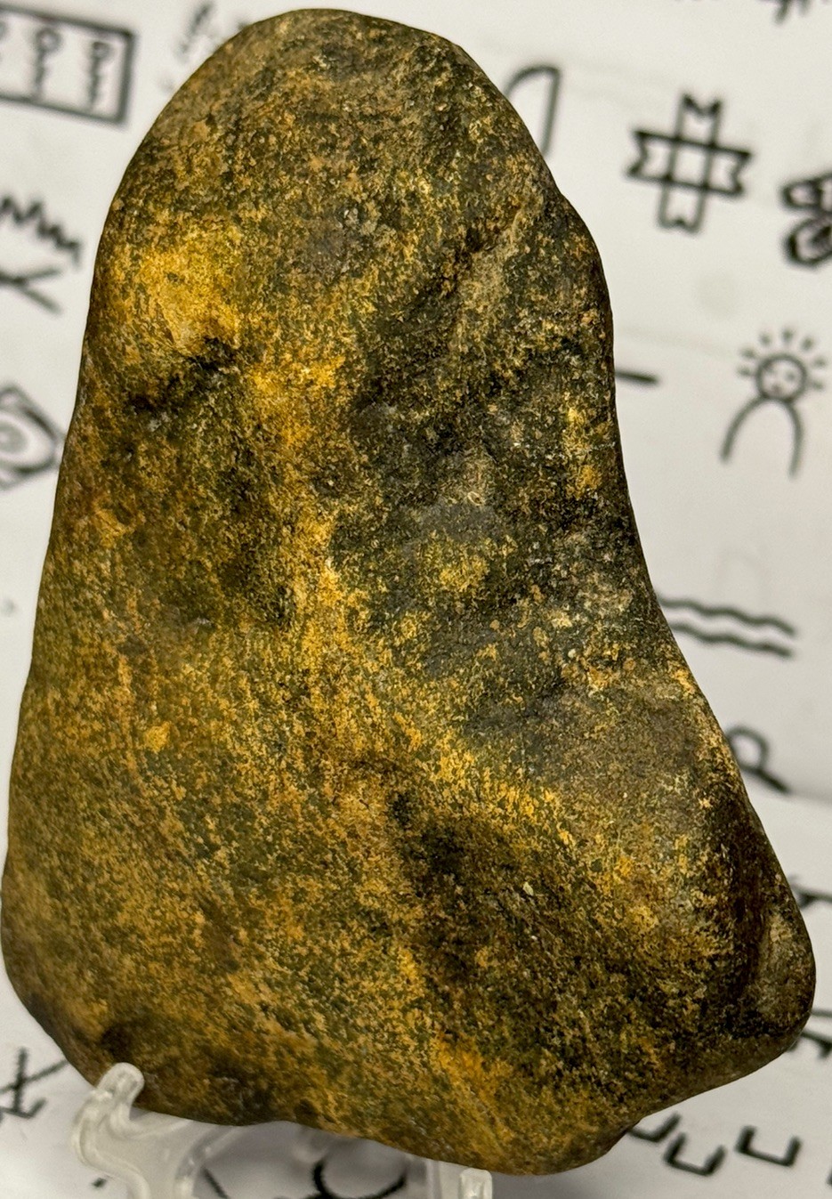 Native American Indian Authentic Artifact Stone Carved Effigy, 13.3 oz • VA